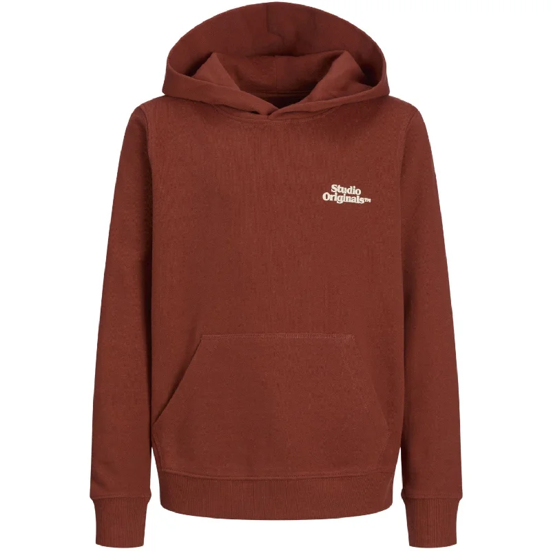 Relaxed Clothing Jack & Jones Junior Arabian Spice Aros Type Sweat Hoodie Back